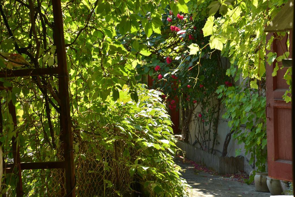 La Maison De Marthe Malleval 部屋 写真